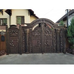 Foto Porta din fier forjat K4 - Chisinau, Moldova