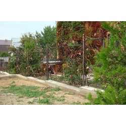 Foto Gard din fier forjat K3 - Chisinau, Moldova