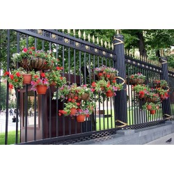 Foto Gard din fier forjat K4 - Chisinau, Moldova