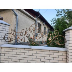 Foto Produs din fier forjat pentru gard K24 - Chisinau, Moldova