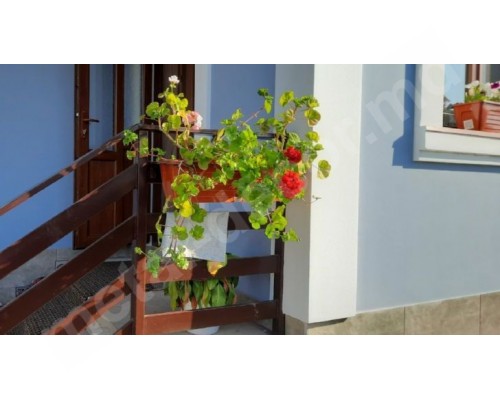 Suport flori exterior K9