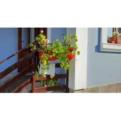 Уличная подставка для цветов K9